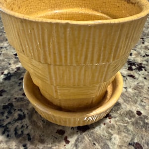 May include: A yellow ceramic planter with a matching saucer. The planter has a textured, ribbed design and a slightly cracked surface. The planter is a warm, earthy tone, suitable for indoor or outdoor use.