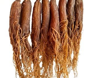 8 Jahre Premium ganze rote Ginsengwurzel | Dampfgetrockneter koreanischer Ginseng | Organische Kräuterzutat