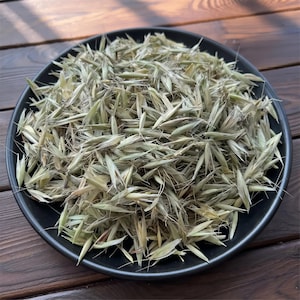 Organiska mjölkiga havreblad, torkade havrehalmörter, skuren och siktad Avena Sativa, örtte, häxkonstrituell ört, badinfusion