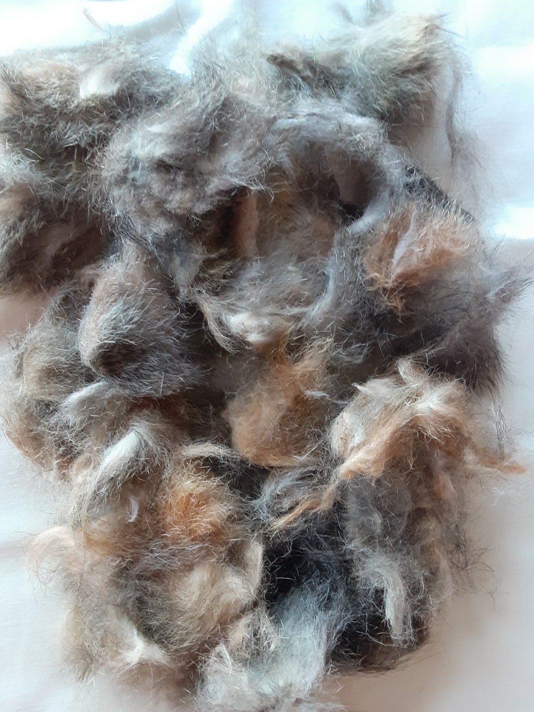 20 Grams Raw POSSUM FUR for Spinning or Felting NZ New Zealand