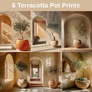 May include: Six prints featuring olive trees in terracotta pots. Each image shows a different tree in a round pot, set within arched doorways and sunlit spaces. The text "6 Terracotta Pot Prints" is displayed at the top of the image, above the prints.