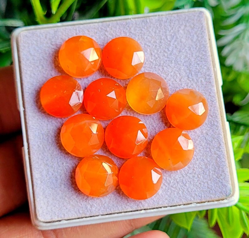May include: A collection of ten faceted, round, orange gemstones displayed in a small, rectangular, gray container. The gemstones have a polished, reflective surface and are arranged in a grid pattern. The background features green foliage.