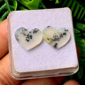 Puede incluir: Dos cabujones de ágata dendrítica en forma de corazón con una base translúcida de color blanco roto e inclusiones oscuras y complejas en forma de helecho. Estas piedras pulidas se presentan sobre una base cuadrada de espuma violeta.