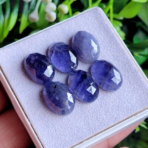 Peut inclure: Six pierres précieuses ovales, facettées, bleu-violet foncé sont présentées dans une boîte blanche avec un intérieur violet clair. Les pierres ont une surface polie et réfléchissante, captant la lumière. L'arrière-plan est flou avec du feuillage vert.