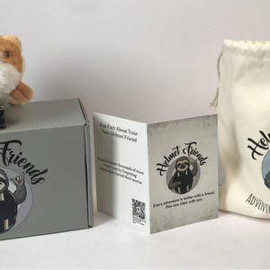May include: A plush guinea pig helmet accessory sits atop a gray box with the "Helmet Friends" logo. A drawstring bag and a folded card with the same logo are also visible. The bag reads "Adventure Rides With You."