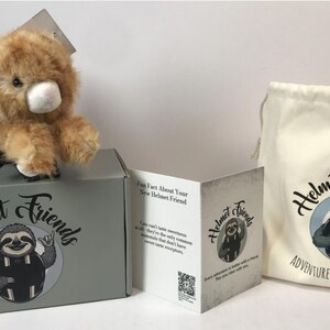May include: A plush, brown bear toy sits atop a gray box labeled "Helmet Friends." The box, a drawstring bag, and a pamphlet feature a sloth logo. The bag reads "Adventure Rides With You."