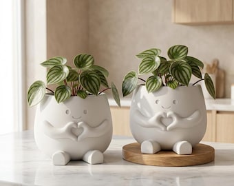 May include: Two white ceramic planters shaped like rounded figures with small feet and arms forming a heart shape in front. Each planter holds a small plant with green and silver striped leaves. One planter sits on a round wooden base.