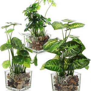 Op de afbeelding: Drie kunstplanten in vierkante, transparante glazen vazen. De planten hebben verschillende groene bladeren en staan in een bed van kleine, lichtbruine en grijze kiezelstenen. De vazen zijn op een wit oppervlak geplaatst.