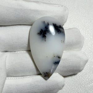 Könnte beinhalten: Ein birnenförmiger Dendriten-Achat-Edelstein mit einer glatten, polierten Oberfläche. Der Stein ist überwiegend durchscheinend weiß und weist markante, dunkelschwarze, farnartige Einschlüsse auf, die sich über die oberen und unteren Bereiche verteilen.