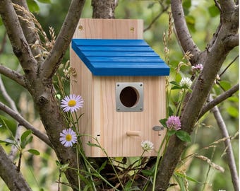 Casetta per uccelli di medie dimensioni in legno massello blu con protezione anti-predatori per giardino e cortile.