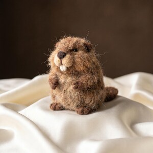May include: A small, handcrafted needle-felted beaver figurine made from textured brown wool fibres. The beaver features a dark brown nose, two prominent white front teeth, small rounded ears, and a flat, paddle-shaped tail extending behind.