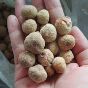 May include: A collection of small, round, light brown textured spheres with a granular surface. These objects are roughly uniform in size and shape, featuring a matte finish and a slightly uneven, earthy appearance across their entire surface.