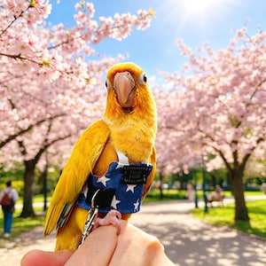 調節可能なオウム用フライトスーツ（リード付き）、鳥用おむつハーネス、鳥用ベスト服、屋外トレーニング用リード