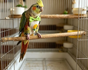 Washable Bird Diaper Flight Suit | Waterproof Parrot Nappy for Budgie, Cockatie| Pet Bird Clothes