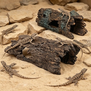 May include: Several small lizards with patterned brown and tan skin are scattered on sand and rocks. Two pieces of artificial driftwood with holes and textured surfaces are also present. The scene suggests a reptile habitat or terrarium.