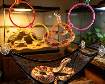 Conjunto de hamaca para reptiles con coloridos anillos de escalada - Tumbona de malla para serpientes, dragones barbudos y lagartos