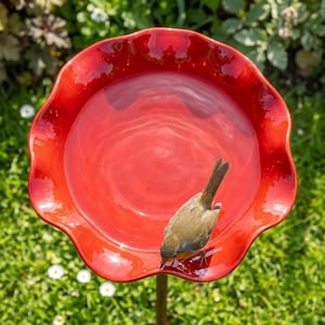 May include: A vibrant red bird bath with a scalloped edge, filled with water. A small brown bird is perched on the edge, drinking from the bath. The bird bath is set in a garden with green grass and white flowers.