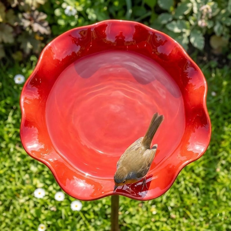 May include: A vibrant red bird bath with a scalloped edge, filled with water. A small brown bird is perched on the edge, drinking from the bath. The bird bath is set in a garden with green grass and white flowers.