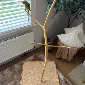 May include: A wooden bird perch with a square base filled with wood shavings. The perch features a central, vertical branch with several horizontal branches. A green parakeet is perched on a branch near a window.