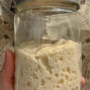 May include: A clear glass jar with a silver metal lid containing a thick, bubbly, off-white sourdough starter. The glass is transparent, revealing the aerated, porous texture of the fermented dough mixture inside the cylindrical container.