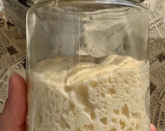 Lievito Madre Starter von Scratch (14 Tage) | Anfängerleitfaden PDF | Schritt für Schritt die italienische Sauerteigmethode