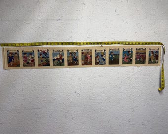 Tira de tela con estampado de semillas de flores de verano vintage – Material para manualidades