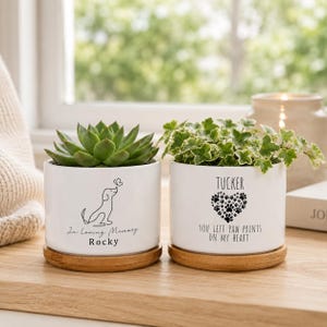 Bloempot op maat voor uw huisdier, gepersonaliseerde gedenkbloempot voor uw huisdier, gedenkgeschenk voor een hond, geschenk bij verlies van een huisdier, gedenkbloempot voor hond of kat, troostgeschenk voor een huisdier