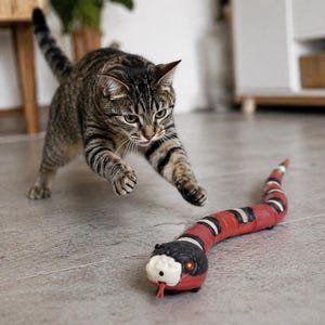 Jouet interactif pour chat, serpent, capteur de mouvement, jouet pour animal de compagnie rechargeable par USB
