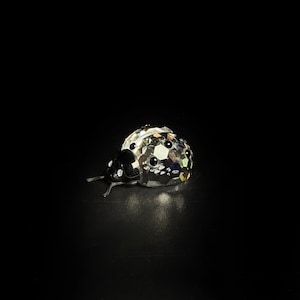 Può includere: Una statuetta in cristallo trasparente sfaccettato a forma di coccinella con testa e antenne nere lucide. Il corpo presenta un motivo geometrico tagliato con punti circolari neri incastonati che riflettono la luce creando un effetto prismatico.