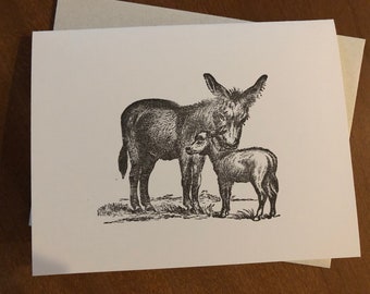 Greeting Card, Donkeys