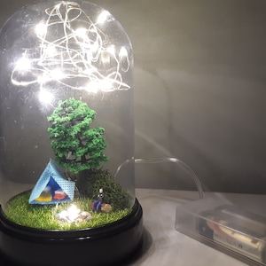 Mini Plastic Dome Pendant, Small Terrarium Domes, Tiny Display Doll Do –  SuAmi