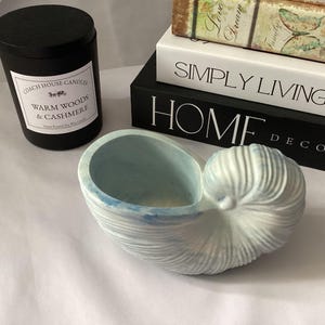 May include: A light blue and white nautilus shell-shaped planter with a ribbed texture. Next to it is a black candle jar with a label reading Coach House Candles Warm Woods & Cashmere, and two stacked books with the text Simply Living and Home Decor.
