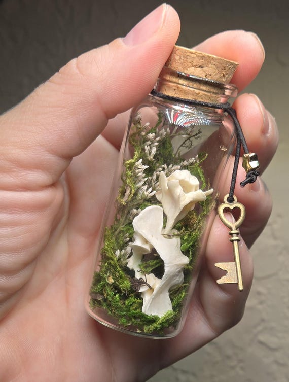 A tiny sealed vial containing real natural bone, moss, and botanicals — one-of-a-kind curiosity cabinet decor that looks like it belongs in a Victorian apothecary.