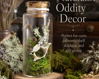 Ossuary Curio Vial With Natural Bone, Moss & Botanicals | Handmade Oddity Decor | One-of-a-Kind Curiosity Cabinet Display