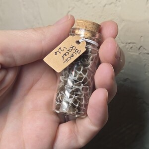 May include: A small clear glass vial with a cork stopper containing pieces of textured, patterned snake skin. A tan paper tag is tied to the neck of the vial with white string, featuring the handwritten black ink text: Black Racer 126.