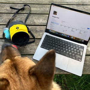 May include: A laptop displaying the text "Maggie's Den" sits on a wooden table next to a black and yellow climbing chalk bag and a small water bottle. A dog's head is in the foreground.