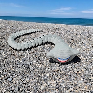 May include: A grey, articulated, segmented creature figure with a wide, flat head, multiple blue eyes arranged in a row, and a red mouth filled with white teeth. The body consists of numerous interlocking, textured plates that curve along the ground.