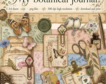 Vintage Botanical Journal Pages: Herbarium Ephemera, PNG Files (Digital Download)