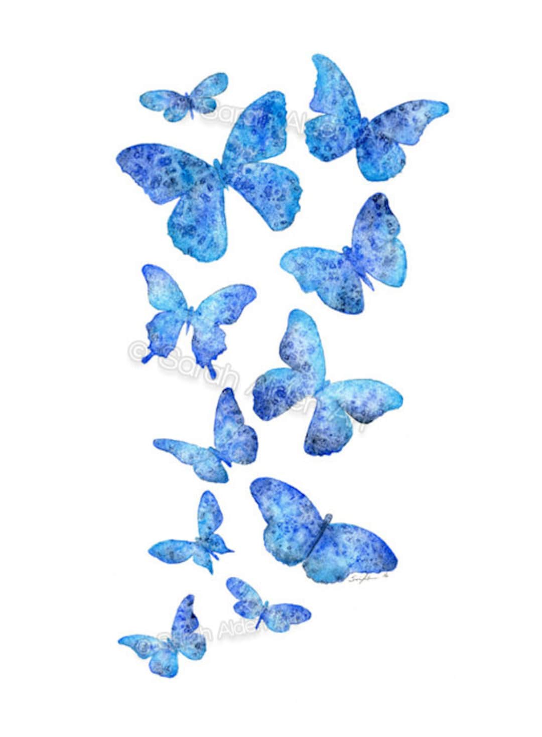 Blue Butterfly Art Print, Watercolor Butterflies Painting, Butterfly