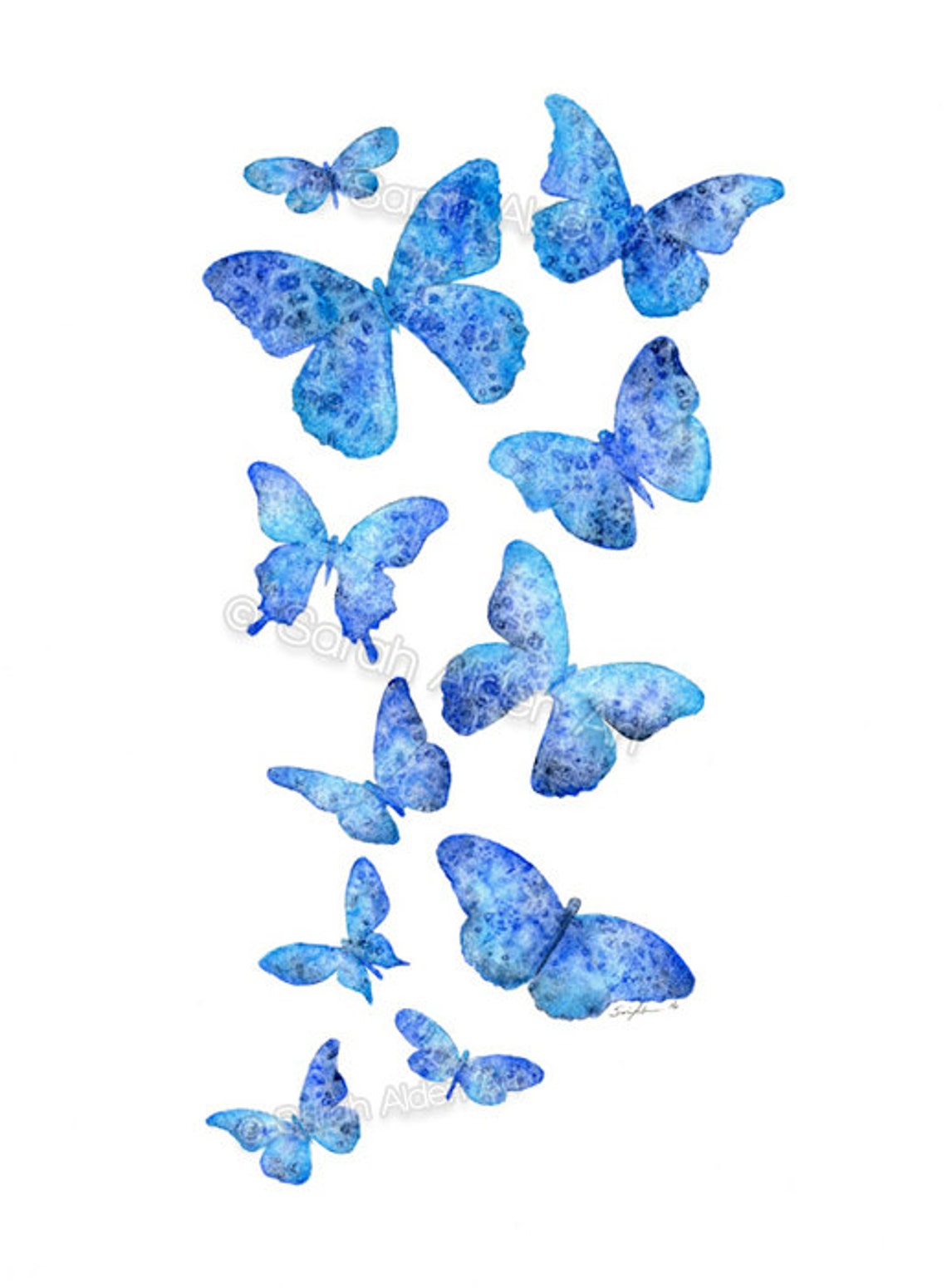 Blue Butterfly Art Print Watercolor Butterflies Painting Etsy