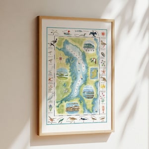 Stampa mappa Strangford Lough,Mappa della fauna selvatica,Regalo della natura,Irlanda costiera,Mappa illustrata,Mappa della costa irlandese settentrionale,Mappa irlandese,Contea di Down,Uccello