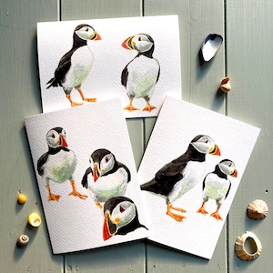 Puffin Notecard Pack, 6 tarjetas en blanco, pinturas de acuarela, pájaro, ave marina, regalo, hecho en el Reino Unido, regalo de vida silvestre, arte de aves