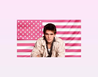 Dallas Winston Pink American Flag Tapestry – The Outsiders Wall Art | Movie Fan Decor | Aesthetic Pink Flag | Vintage Character Gift