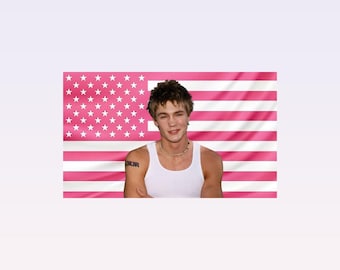 Tapiz con la bandera estadounidense rosa de Chad Michael Murray – Arte de pared del actor / Decoración para fans de One Tree Hill / Bandera rosa estética / Regalo para amantes de la televisión
