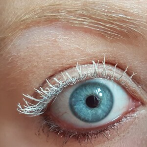 May include: Close-up of a human eye with light blue iris and white eyelashes. The eyebrow is blonde. The eye is open and looking directly at the viewer. The skin around the eye is fair.