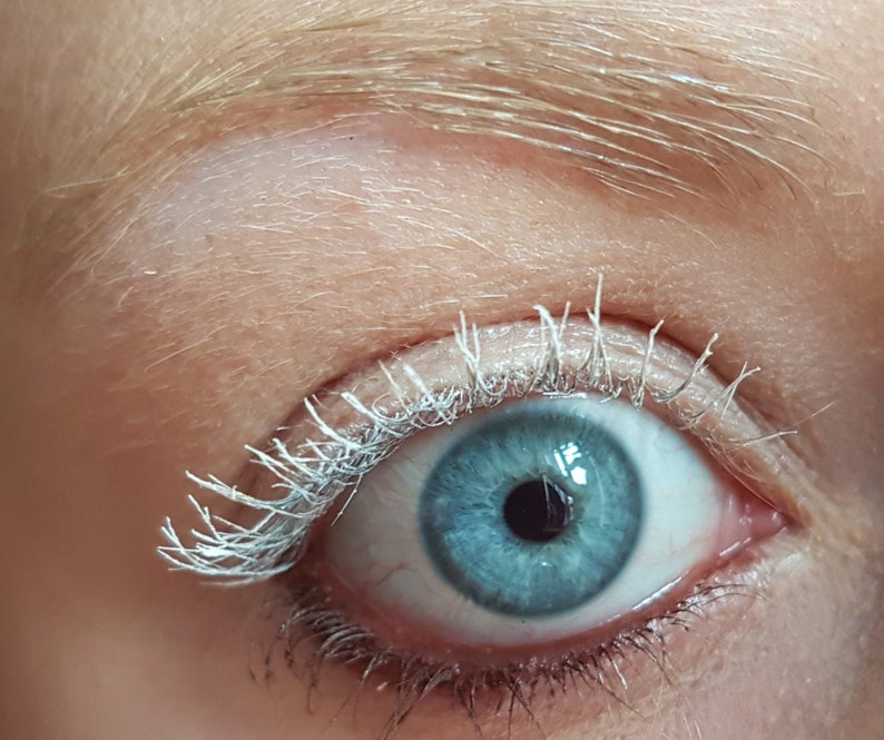 May include: Close-up of a human eye with light blue iris and white eyelashes. The eyebrow is blonde. The eye is open and looking directly at the viewer. The skin around the eye is fair.