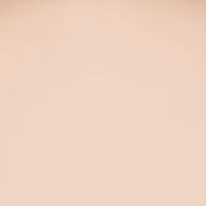 Natural LIQUID Foundation Concealer Light Medium | Full Coverage Vegan, Organic Foundation | 100% biodegradable packaging | 15 SPF Sunscreen