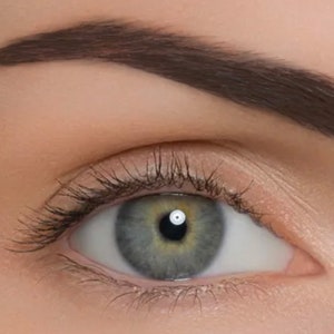 Dark Brown Hypoallergenic Waterproof Eyebrow Pencil  Vegan  Organic Triangular Pencil with Luxurious Brush
