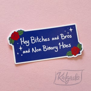 Hey Bitches and Bros and Non Binary Hoes Vinyl Stickers
