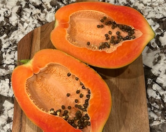 TR HOVEY Papaya Seeds. (From Carica Papaya dwarf self pollinating tree)